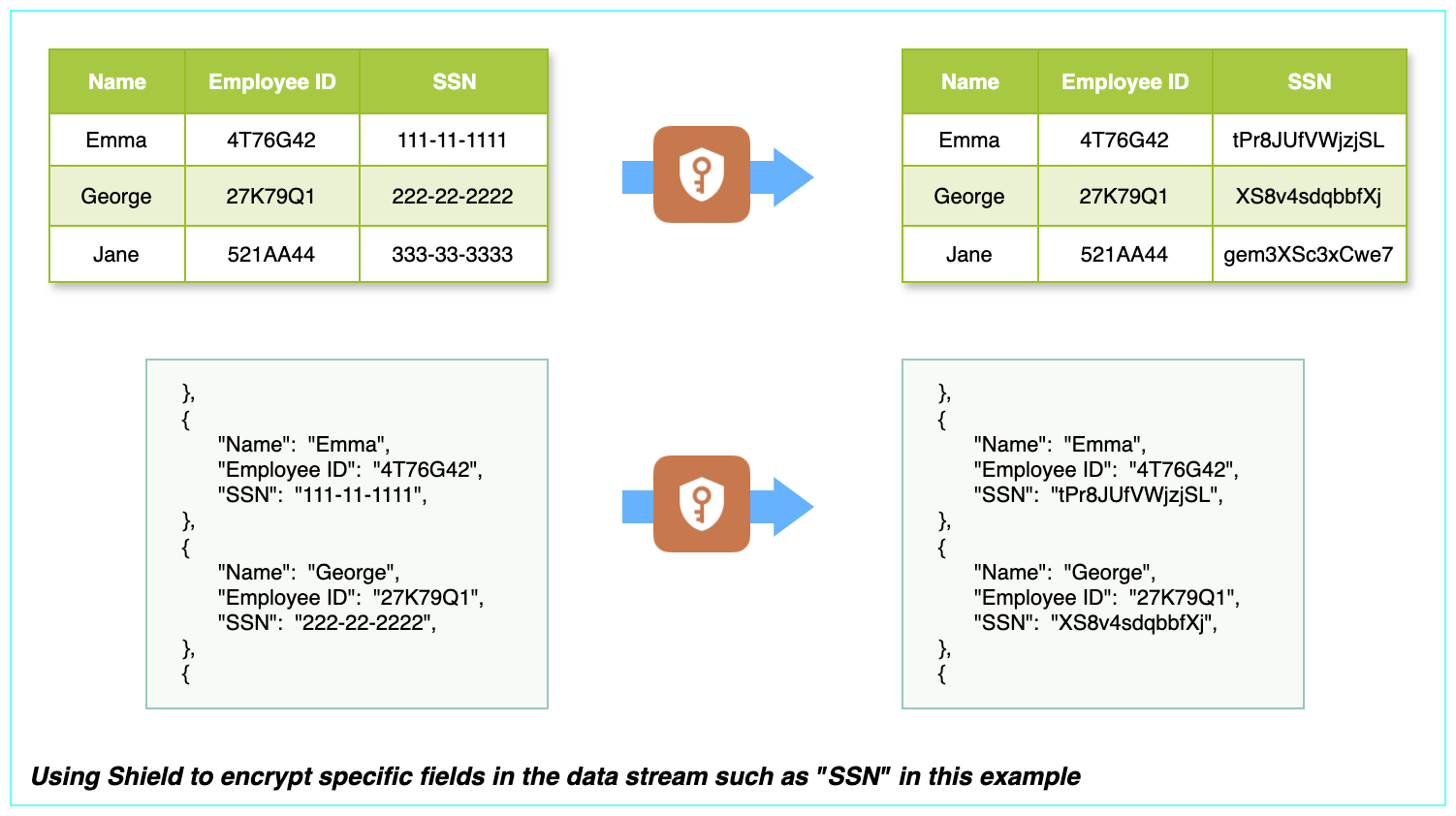 encrypt-shield-1.png