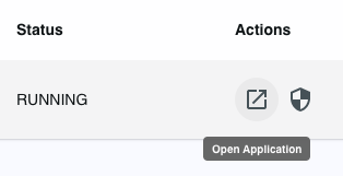 A close-up of the database status line, highlighting the Open Application button.