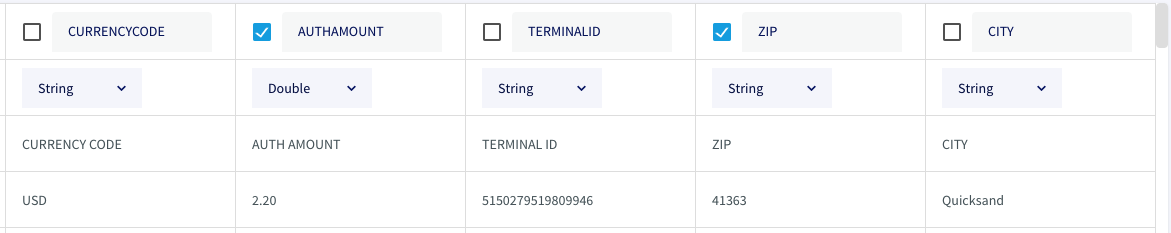 A table displaying the Currency Code, Authorization Amount, Terminal ID, ZIP Code, and City. Each of these columns has a selector for data type and all columns except for Authorization Amount are set to String. Authorization Amount is set to Double.